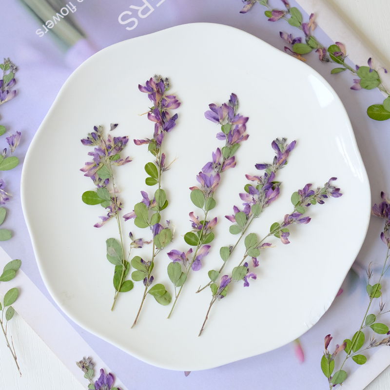6pcs,nature Lespedeza Formosa  – Resin Art Photo Frame recenzja i cena