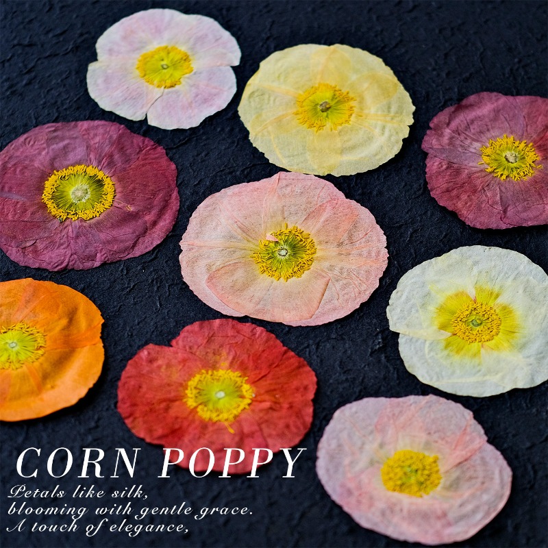 1pcs,Nature Field Poppy Presse – Resin Art Photo Frame recenzja i cena