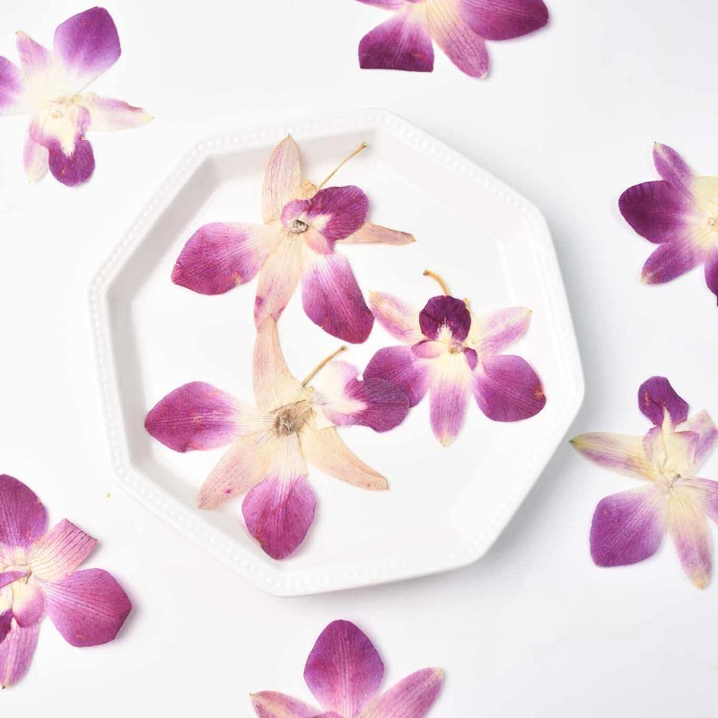 4pcs,Real Pressed Butterfly Or – Resin Art Photo Frame recenzja i cena