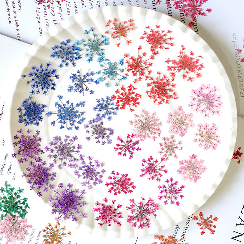 24pcs,2-2.5cm,nature Dyed Mini – Resin Art Photo Frame recenzja i cena