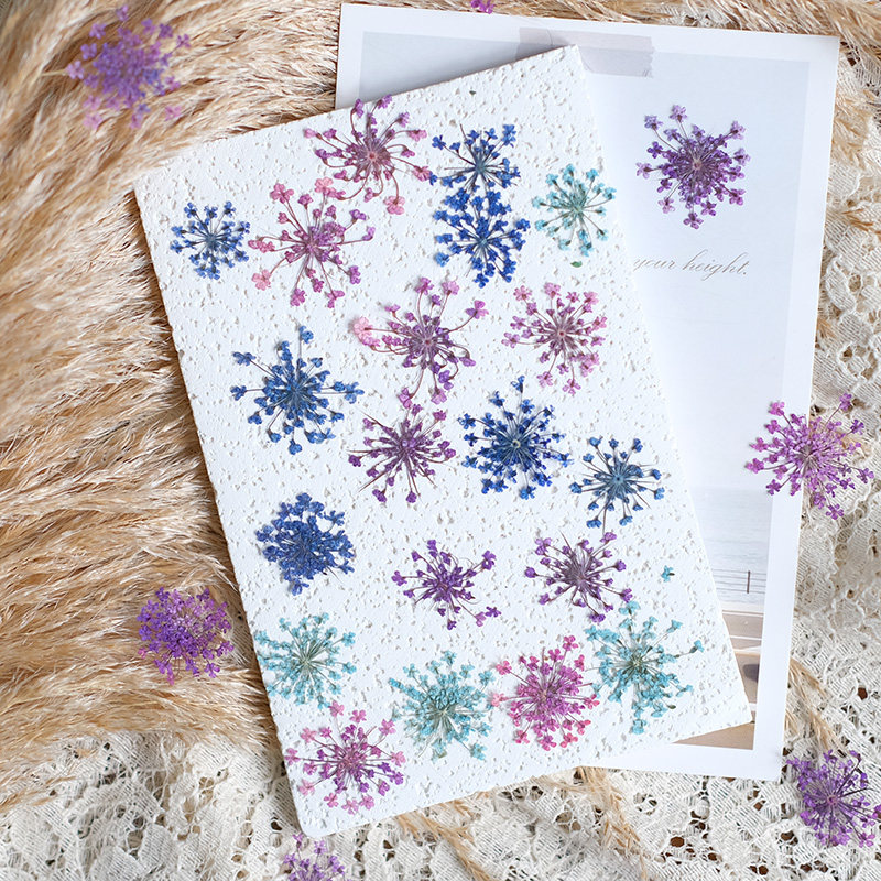 24pcs,2-2.5cm,nature Dyed Mini – Resin Art Photo Frame recenzja i cena
